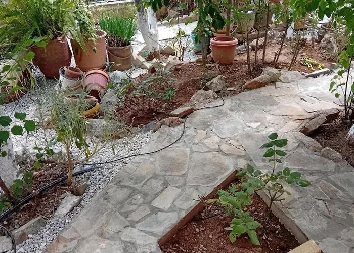 Vasiliki