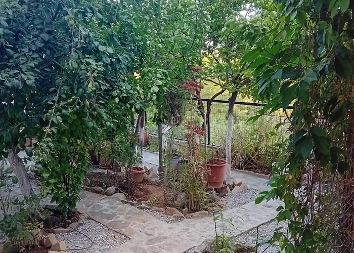 Vasiliki