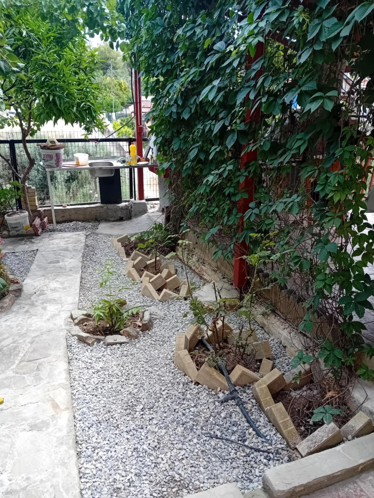 Vasiliki