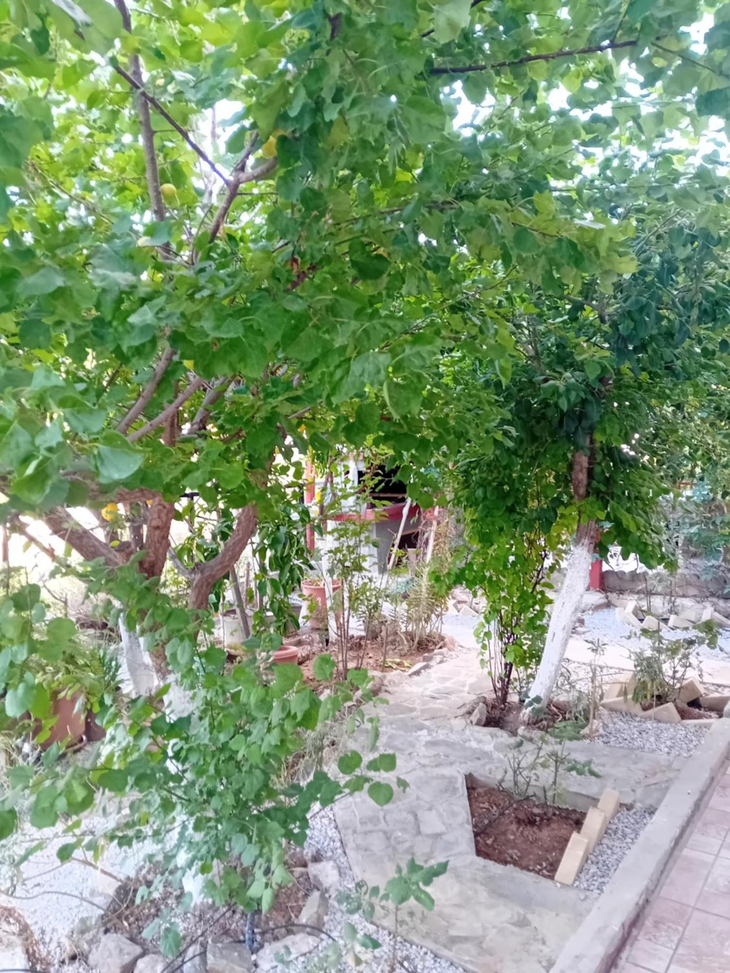 Holiday home Vasiliki Dhilesi