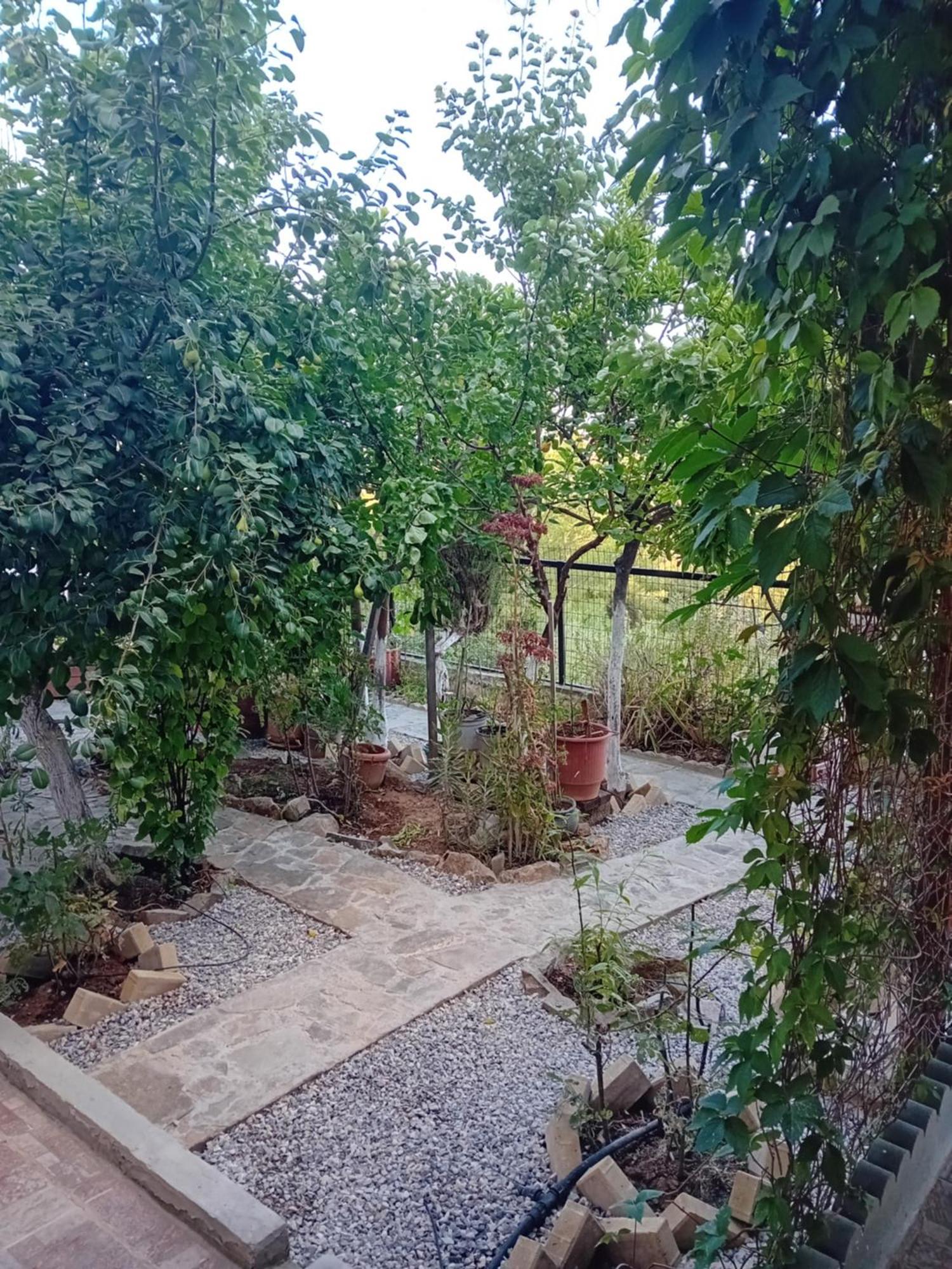 Vasiliki * Dhilesi