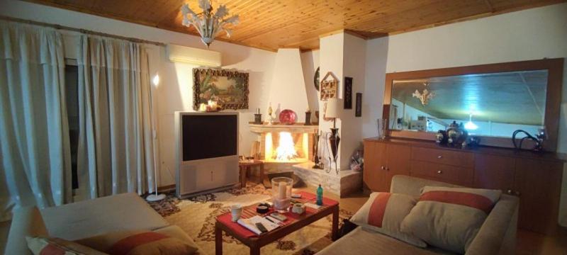Vasiliki Holiday home Dhilesi